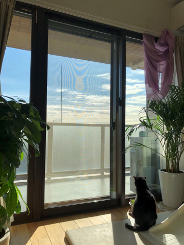 暑さ対策にプラマードU設置『内窓で猫も満足の窓断熱！』（世田谷区M様邸）